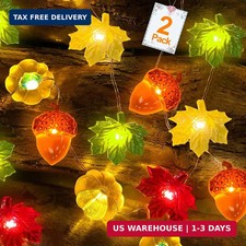 Thanksgiving Decor 2 Pack 3D Fall Lights with Pumpkin Acorn Leaf 40LED/13FT