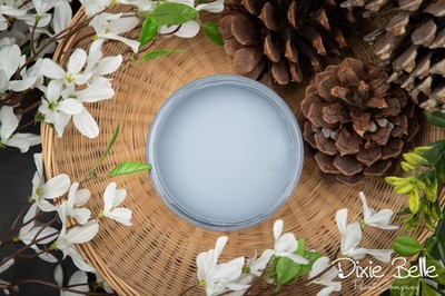 Dixie Belle Chalk Paint Dusty Blue- FREE SHIPPING!