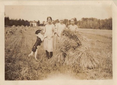 Antique Border Collie Dog 1930s Photo Playing Girls Haystack Field Farm Harvest