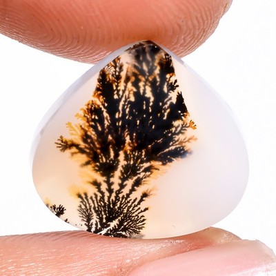04.50 Cts. Natural Amazing Scenic Dendritic Agate Heart 14X15X3 MM Cab Gemstone