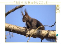 Calvendo Puzzle Curious Squirrel | 1000 Pieces, Finished Size 25.2 × 18.9 In (64