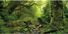 48X24 Inches Tropical Forest Terrarium Background Stream Green Huge Tree Reptile