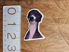 Dog Sticker Funny Sticker Funny Decal Meme Sticker Meme Decal Joke Comedy