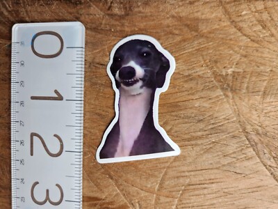 Dog Sticker Funny Sticker Funny Decal Meme Sticker Meme Decal Joke Comedy