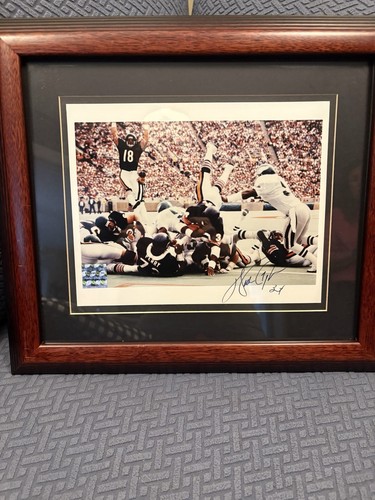 16x14 Framed & Autographed By Chicago Bears Legend Walter Peyton #34 | eBay