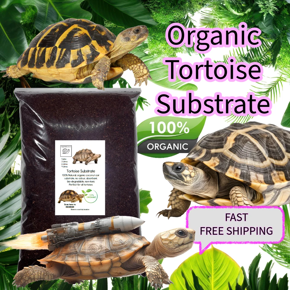 BUGZNBITS Tortoise Habitat Soil | 100% Organic Coco Coir Substrate, Reptiles & Amphibian