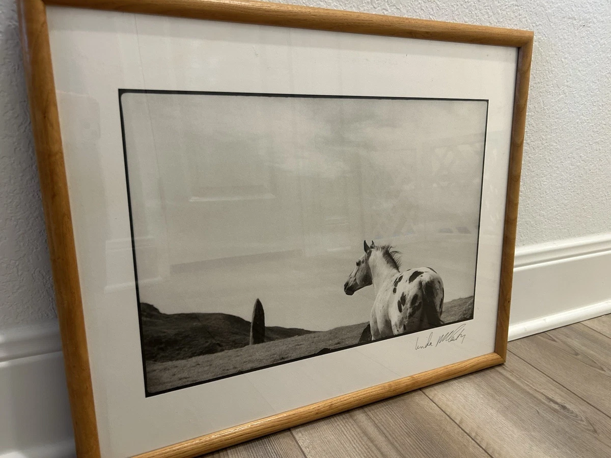 风景艺术1990-1999 时间段生产照片| eBay