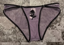 VICTORIA'S SECRET PINK PURPLE VELVET ROSE MESH SILVER HARDWARE CHEEKY PANTIES