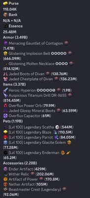 Hypixel Skyblock Account 12B NW 43 SKILL AVERAGE *FULL ACCESS*