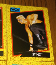 1991 Impel WCW - Sting #13