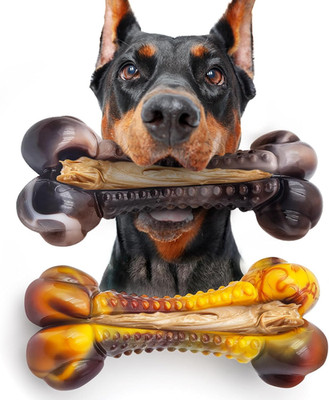 Dog Chew Toys for Aggressive Chewers 2Pack Indestructible Dogs Bone Toy