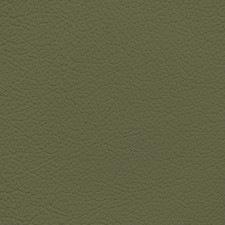 Mercedes Avocado Leather Dye