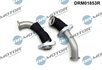 Dr.Motor Automotive KüHler, AbgasrüCkfüHrung DRM01853R Passend FüR Fiat