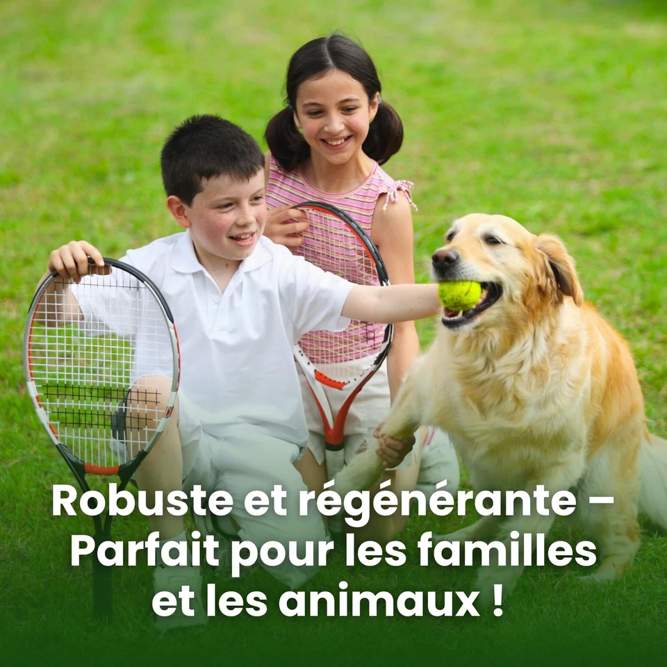 CHAMPION Gazon a Semer - Graine pelouse résistant à la Sécheresse - semences ... - Photo 4/4