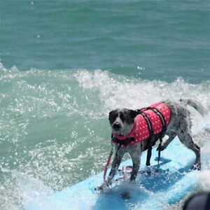 target dog life jacket