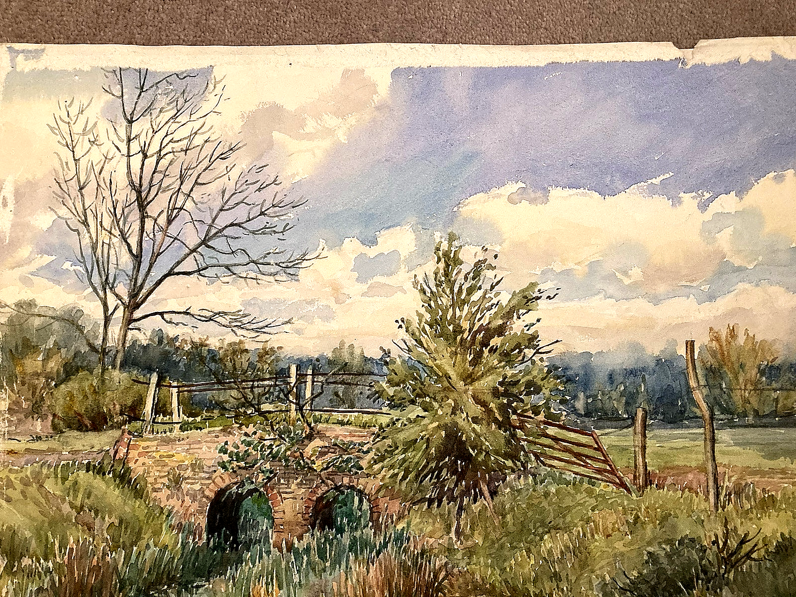 Picture 3 of 14