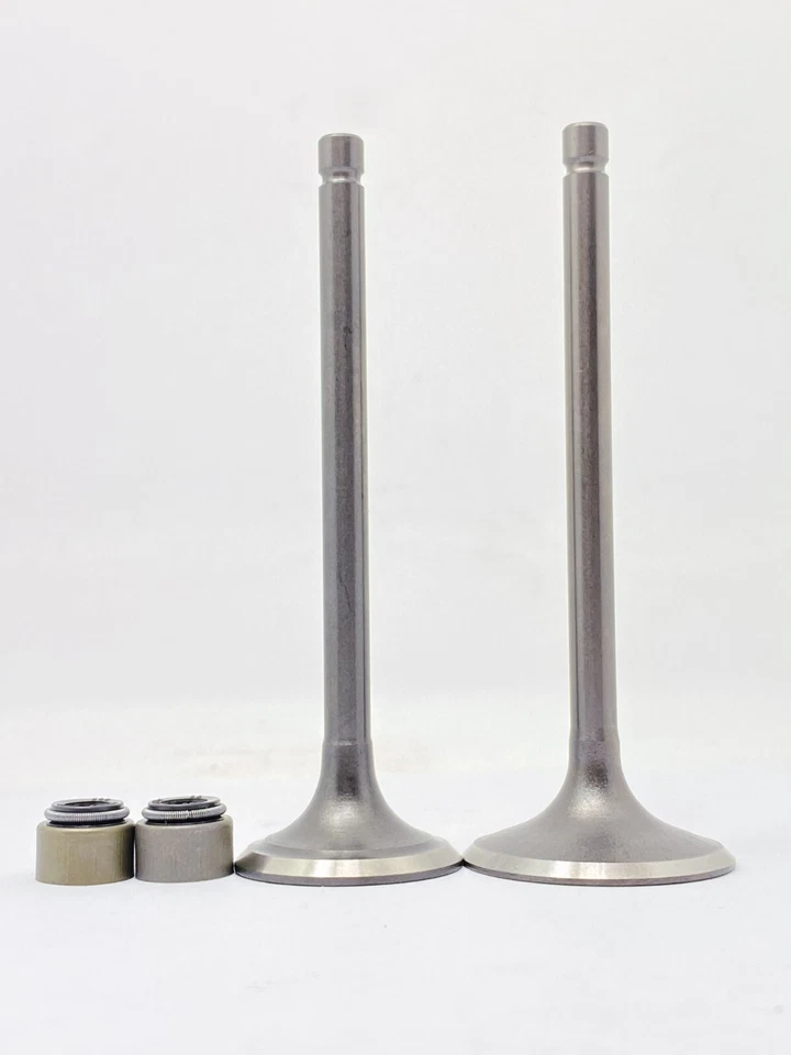 Engine Valve and Seal Fit Yamaha SEROW XT225 TT225 YFM225 TTR225 YTM225 Foto 4 de 4