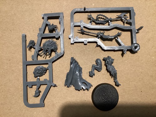 WH Warcry Nightmare Quest Ghoul Flesh Eater Courts Royal Beastflayers FLAYMASTER - Picture 2 of 3