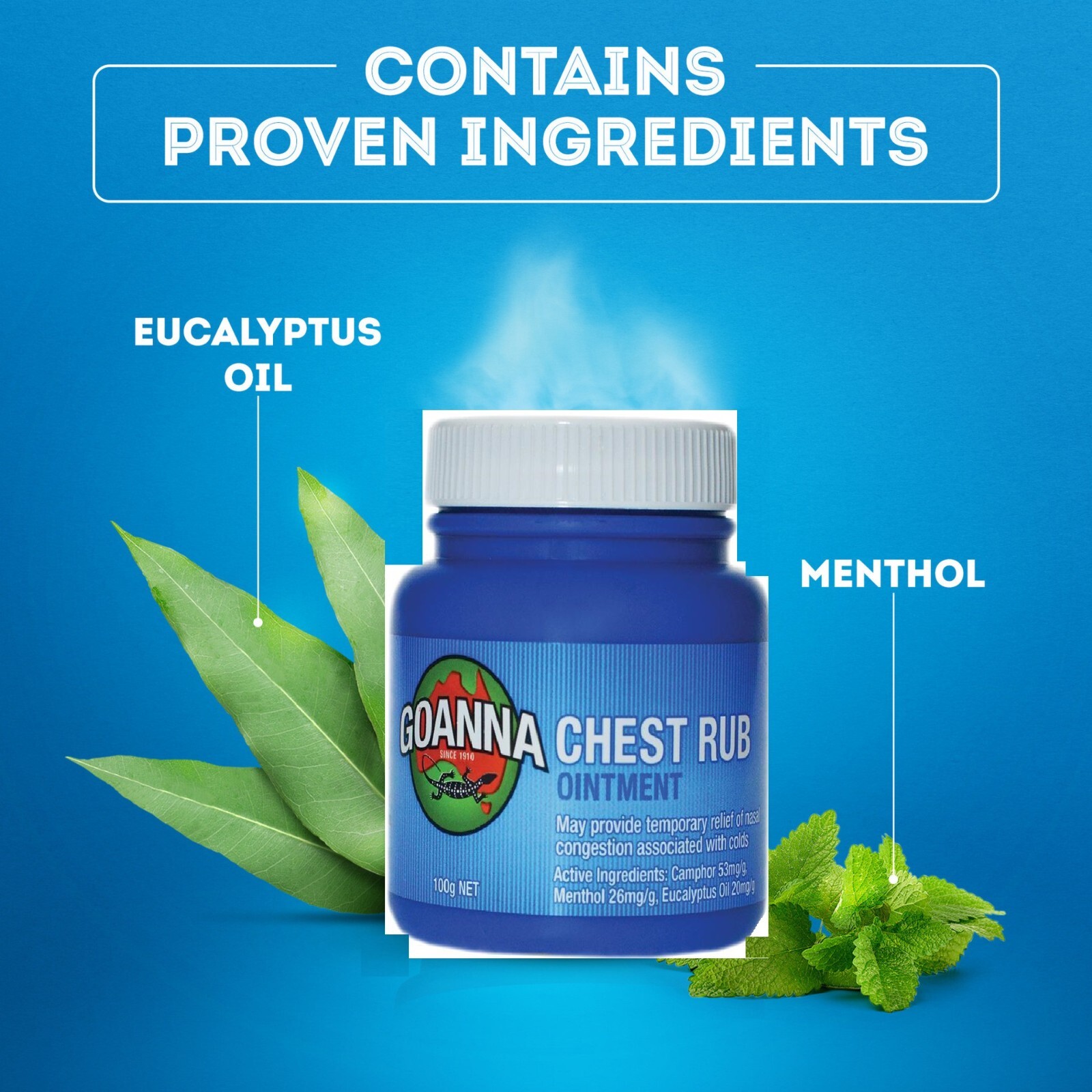 Goanna Chest Rub 100g ( Vicks Rub Alternative ) MADE in AUSTRALIA eBay