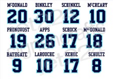 Pittsburgh Penguins STICKER DECAL 1970s Larouche Pronovost Schinkel Apps Schultz