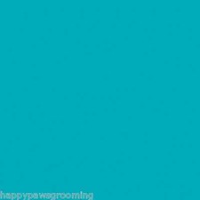 TURQUOISE Blue/Green SOLID Cotton BANDANA SCARVE Bandanna Scarf HEAD WRAP Hanky