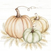 IHR Servietten Pumpkin Trio | 33 X 33 Cm | Tissue - 3 Lagig | 20 Servietten