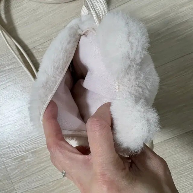 Disney Chip and Dale Face Pass Case, Cute Pastel Wallet