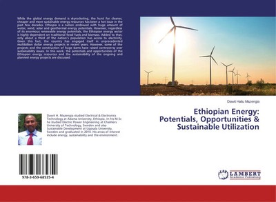Dawit Hailu Mazengia | Ethiopian Energy: Potentials, Opportunities &...