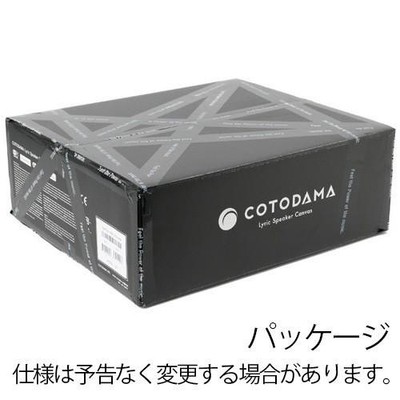 【美品】COTODAMA Lyric Speaker Canvas LS2 COTODAMA Lyric Speaker Canvas LS2 Music Display WiFi Bluetooth