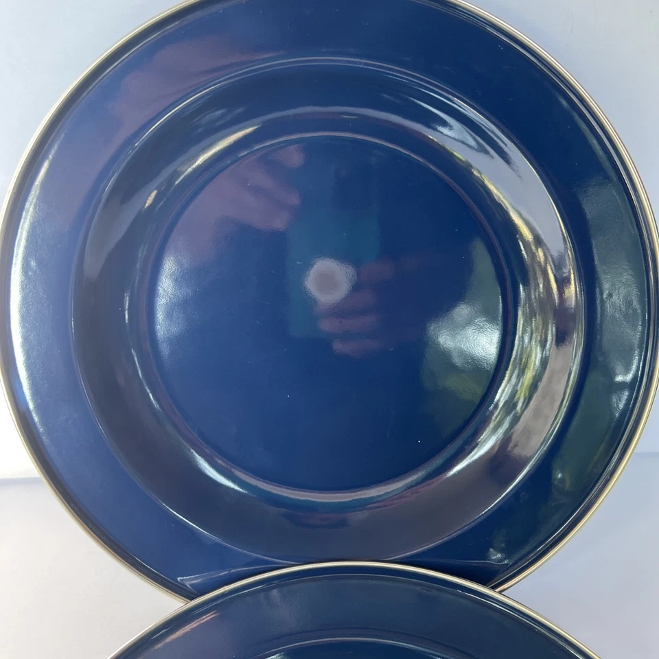 Discontinued Pottery Barn Enamelware Plate Blue 10”  Set x2 Metal Partyware NOS - Image 4 of 4