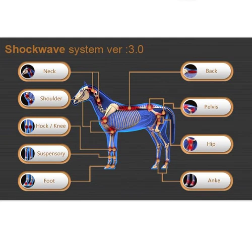 Pferde Veterinär Stoßwellentheorie Maschine Pferd Stoßwellentherapie Schmerzlinderung - Bild 5 von 6