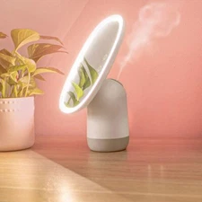 Mirror and Humidifier Combo with LED Lights and 5X Detachable Magnifying Mirror