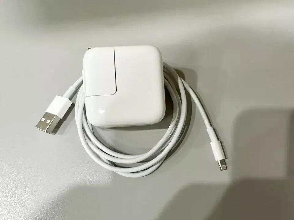 Apple iPad 256GB充電器付き Apple iPad 256GB充電器付き 【公式通販】
