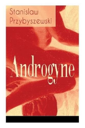 Stanislaw Przybyszewski Androgyne - Vollständige Ausgabe (Taschenbuch) - Stanislaw Przybyszewski