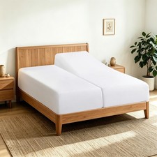 2 Pack Twin XL Fitted Sheets, 100 Egyptian Cotton, White 2Pack - Twin XL