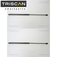 2X Gasfeder FüR Koffer-/Laderaum Triscan 871016240 DäMpfer GasdäMpfer
