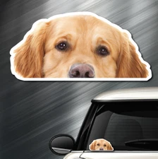 (1) Golden Retriever DOG Peeper Sticker Window Peep Decal Car Auto Puppy AKC NEW