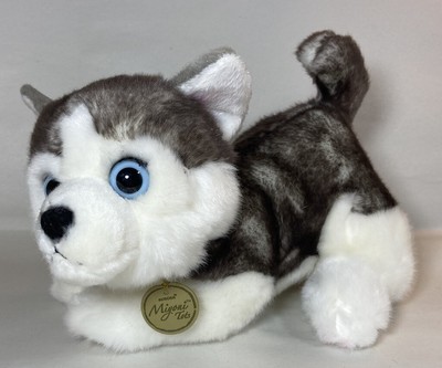 miyoni tots husky
