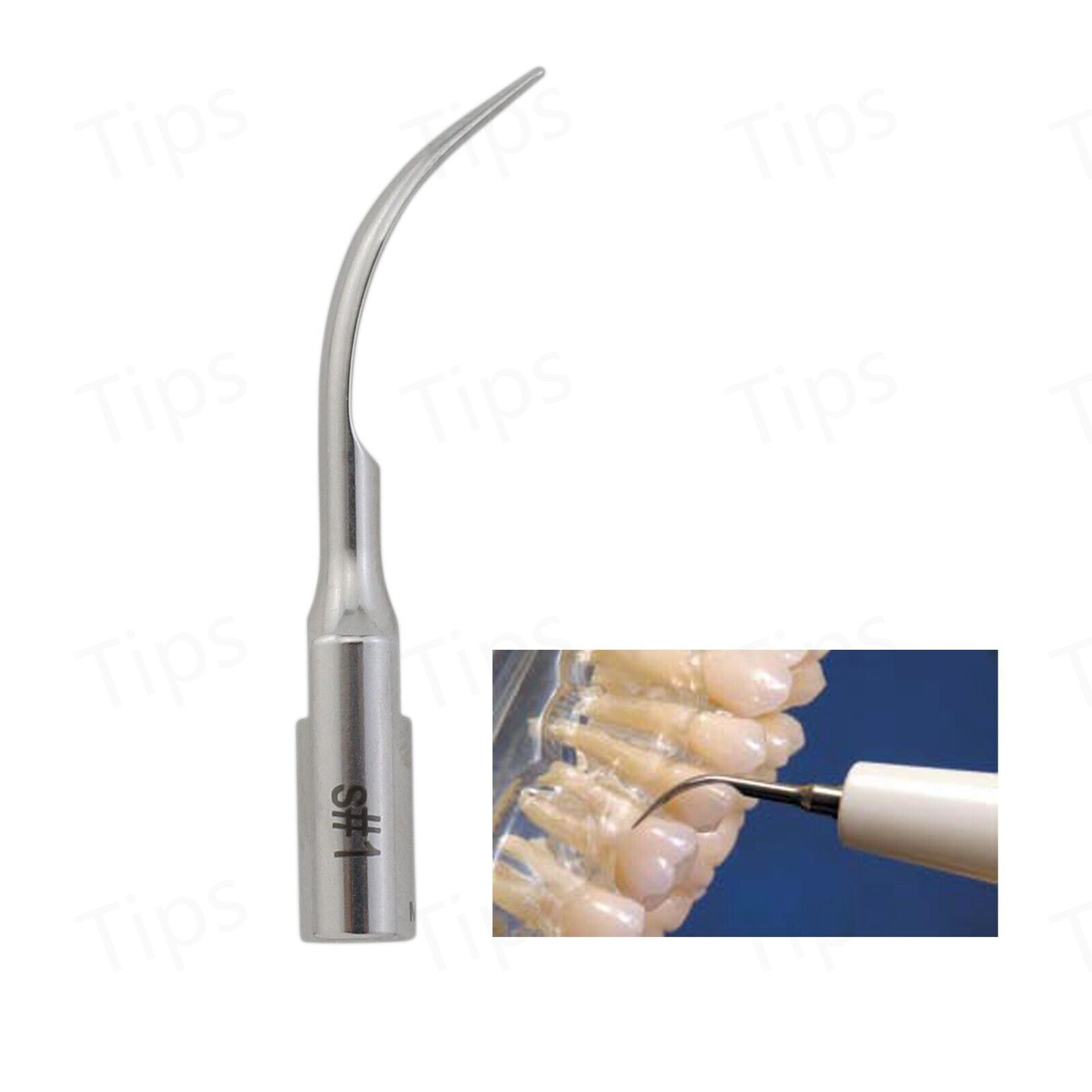 Dental Piezo Scaler Tips – Fit Satelec Acteon 1S, H3, 10Z – Scaling & Perio