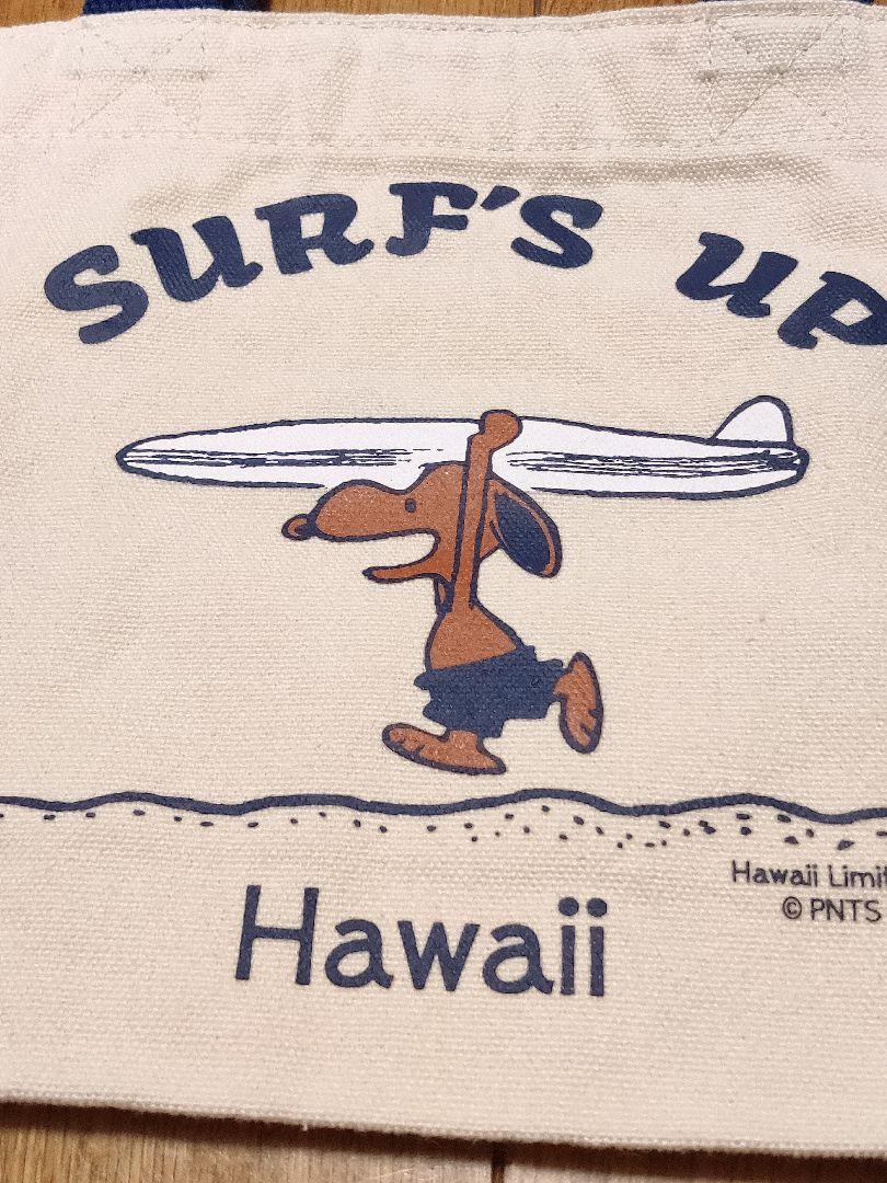 Snoopy Moni Hawaii Mini Tote Bag Limited Edition Canvas 100