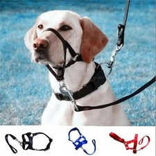 Headcollar Non Pull Dog Head Collar for Training Adjustable Dog Halter