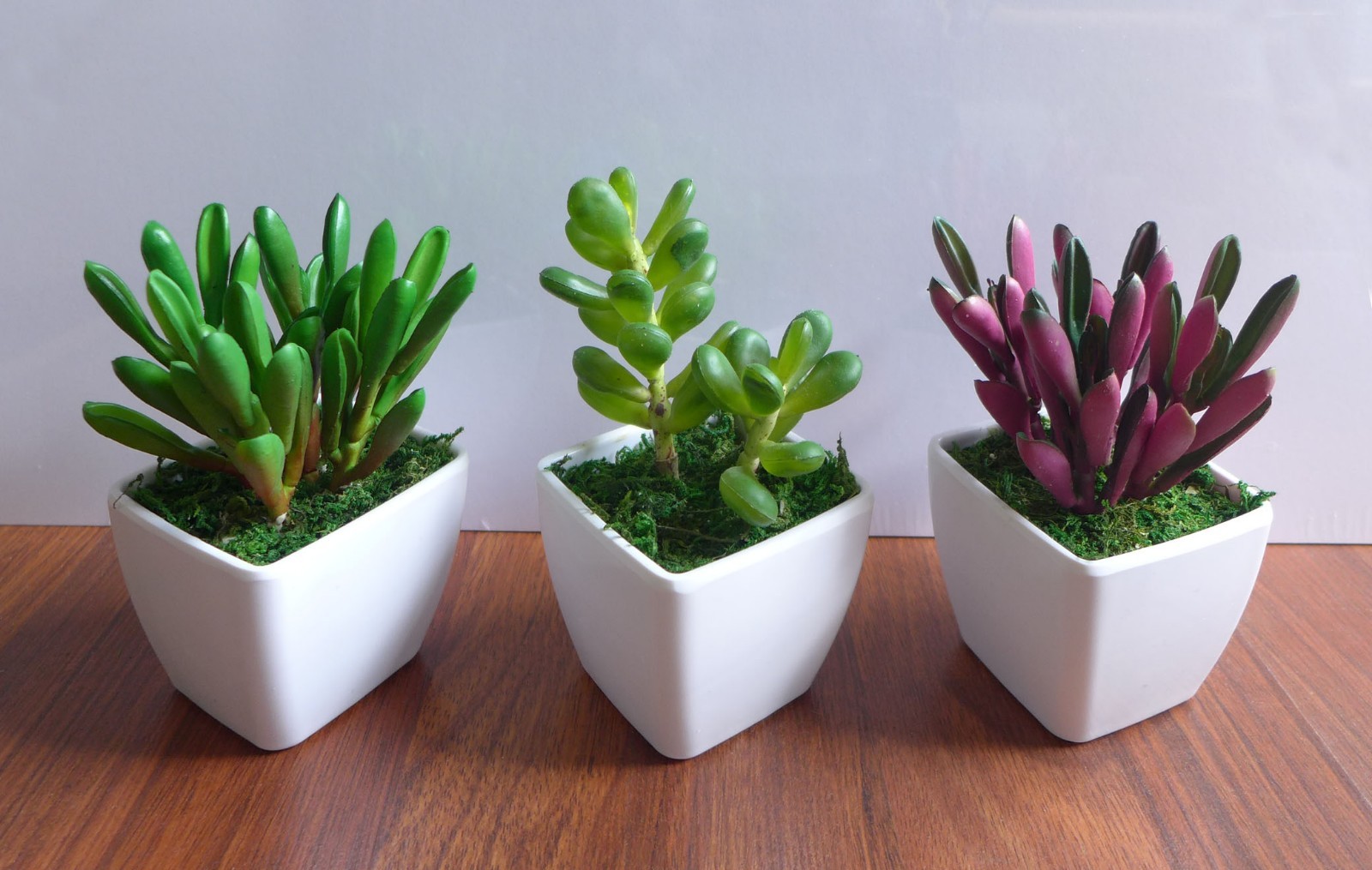 3 Mini Potted Artificial flowers unkillable Succulents Plants With Pot