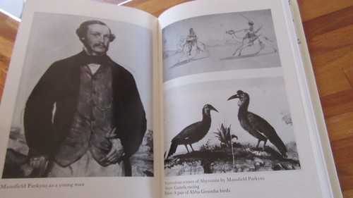 The Gentleman Savage ~ Duncan Canning. Life of Mansfield Parkyns ¡NUEVO! en MELB - Imagen 9 de 12