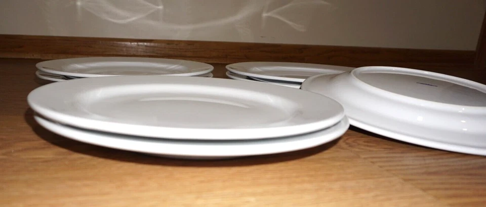 JUEGO DE 7 PLATOS GRANDES DE CENA SRI LANKA Crate & Barrel 11 1/2" Foto 3 de 4