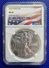 2016_ NGC _ Silver Eagle S$1 _ MS69 _ #4509182-232