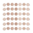 50 Pcs Birthday Reminder Wall Hanger Round Wooden Slices Circles for Calendar