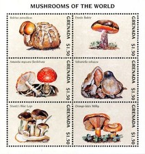 Grenada 1997 - Mushrooms (Fungi) of the World Sheetlet - MNH