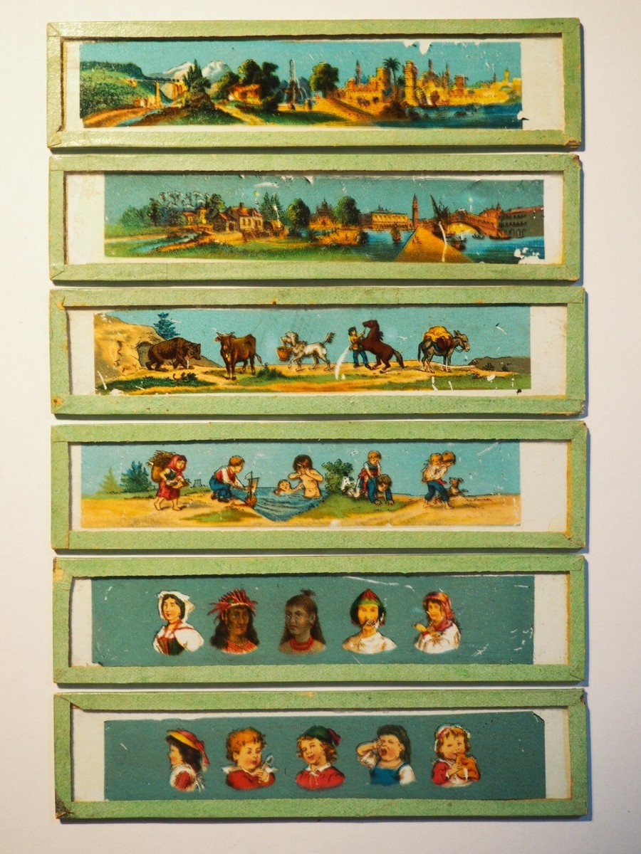 Botanique Plaques pour Lanterne Magique - Antiq Photo