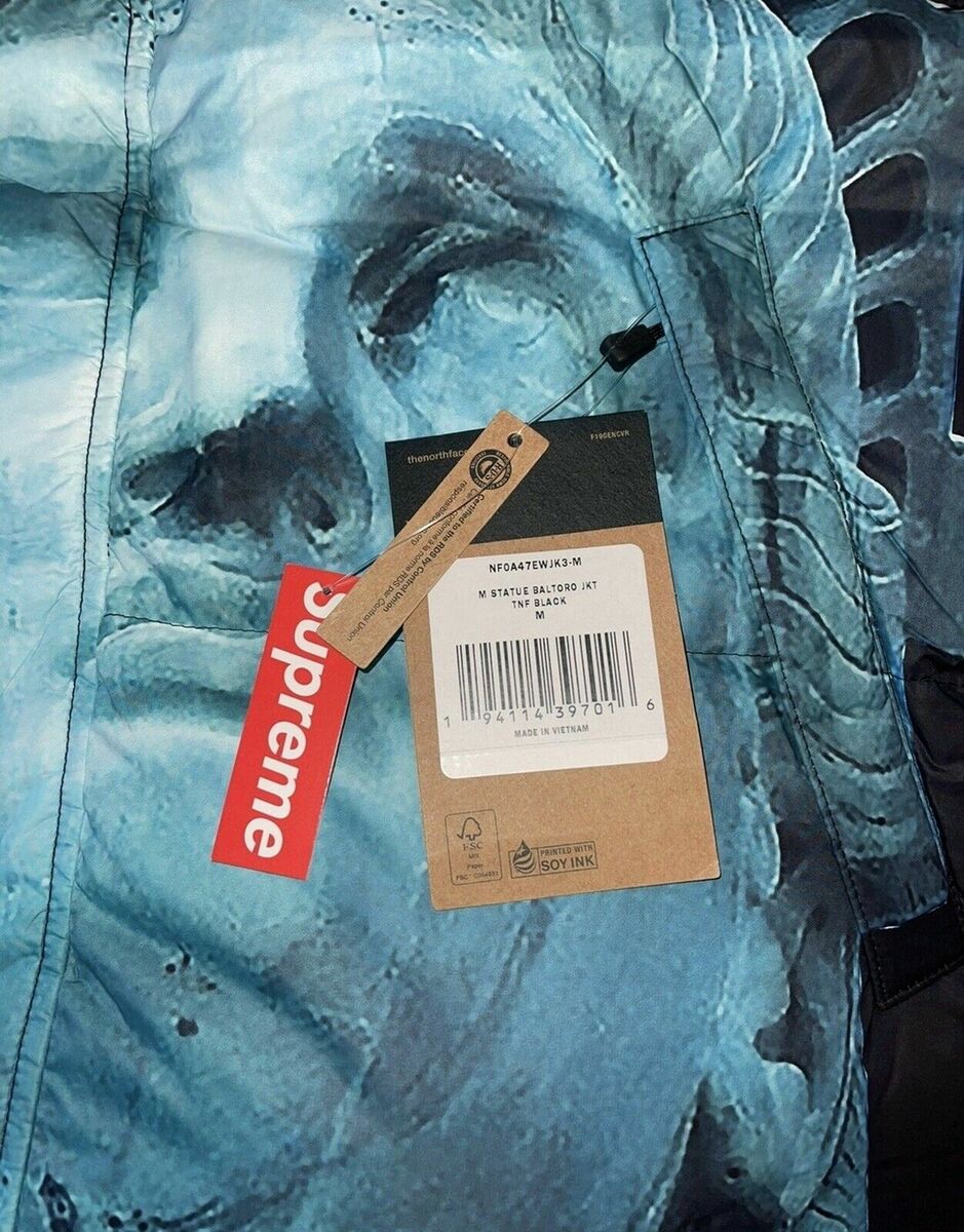 DS! SUPREME THE NORTH FACE STATUE OF LIBERTY BALTORO JACKET BLACK M FW19 TNF