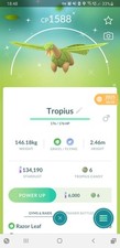  Shiny (Schillernd) Tropius Pokemon GO  Mini ...